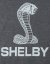 Tričko s kapucí a dlouhým rukávem Shelby Raglan